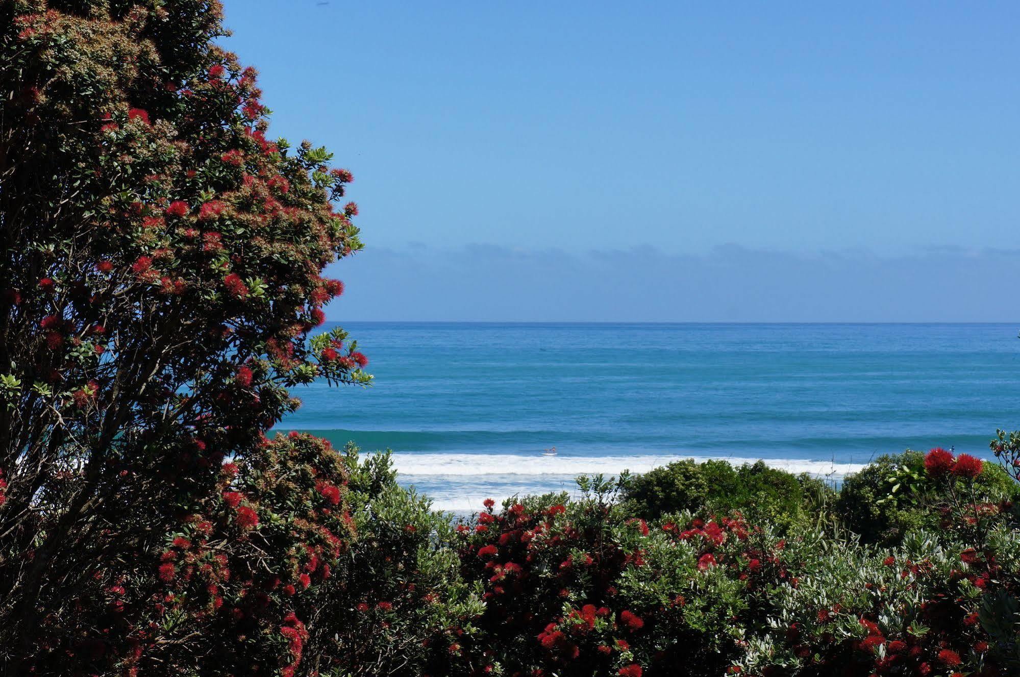 Fitzroy Beach Holiday Park New Plymouth Ngoại thất bức ảnh