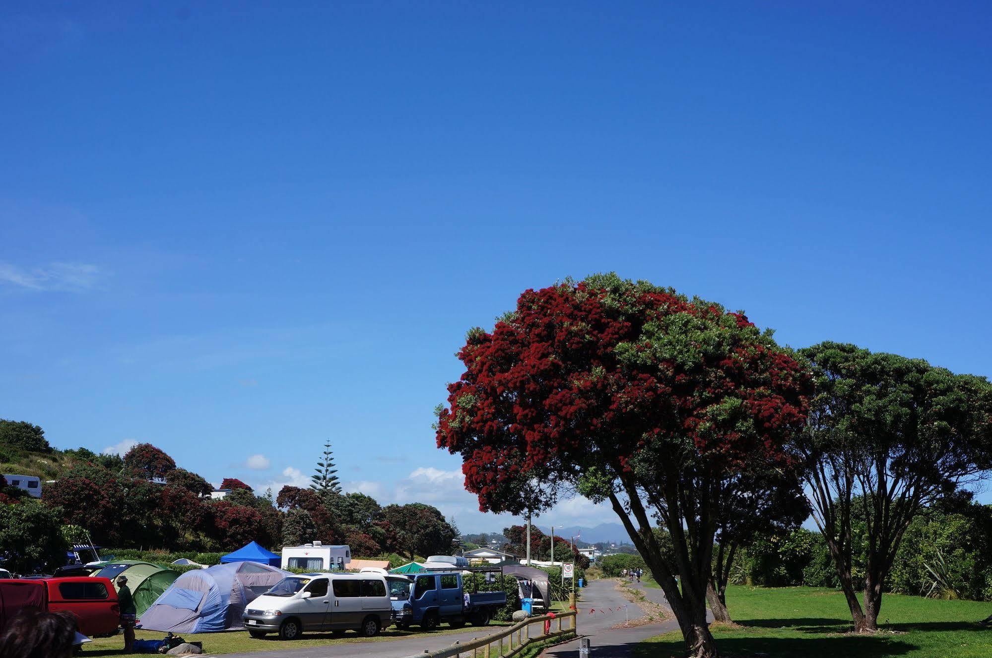 Fitzroy Beach Holiday Park New Plymouth Ngoại thất bức ảnh